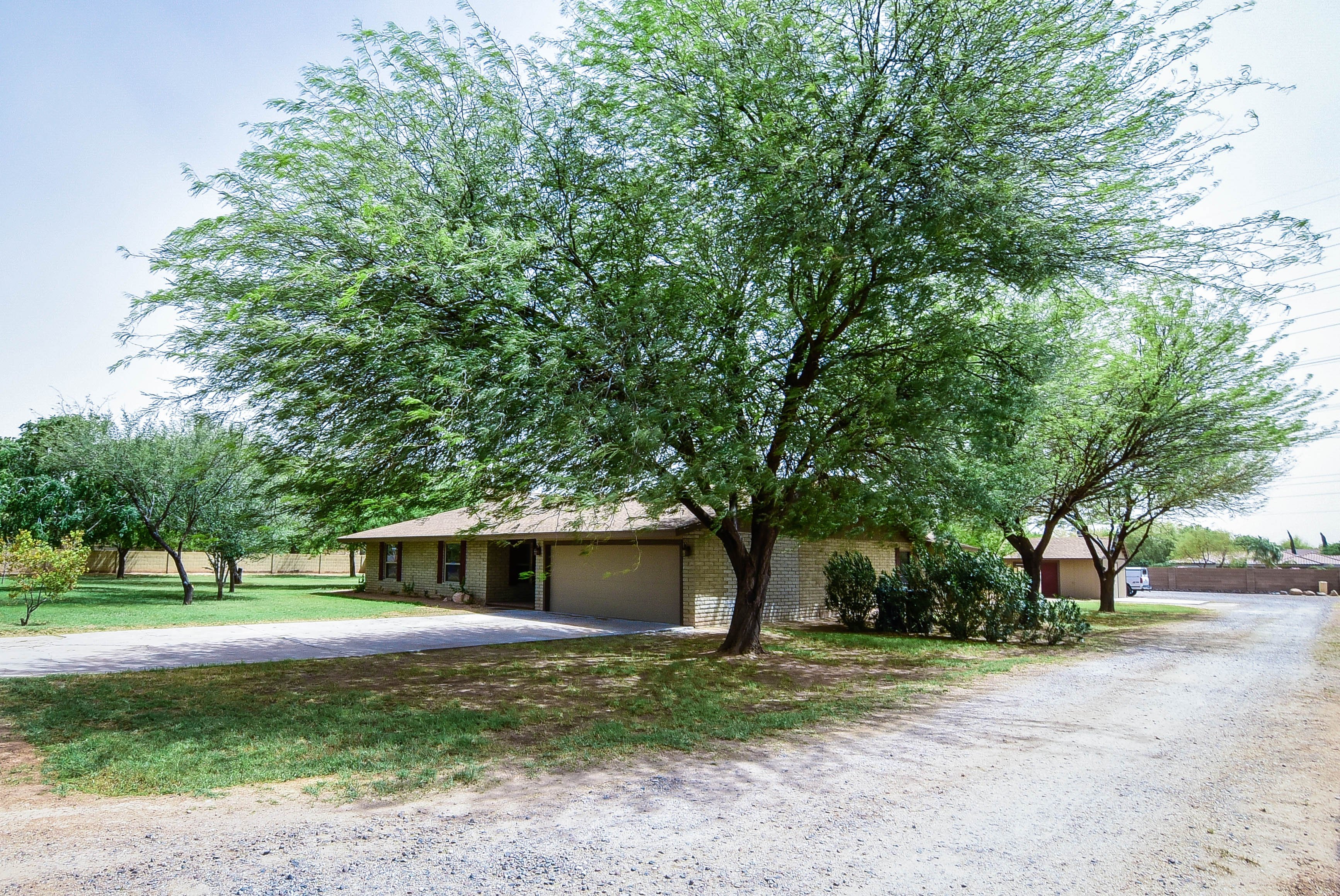 East Valley Homes with Irrigation Michelle Shelton, Arizona Horse